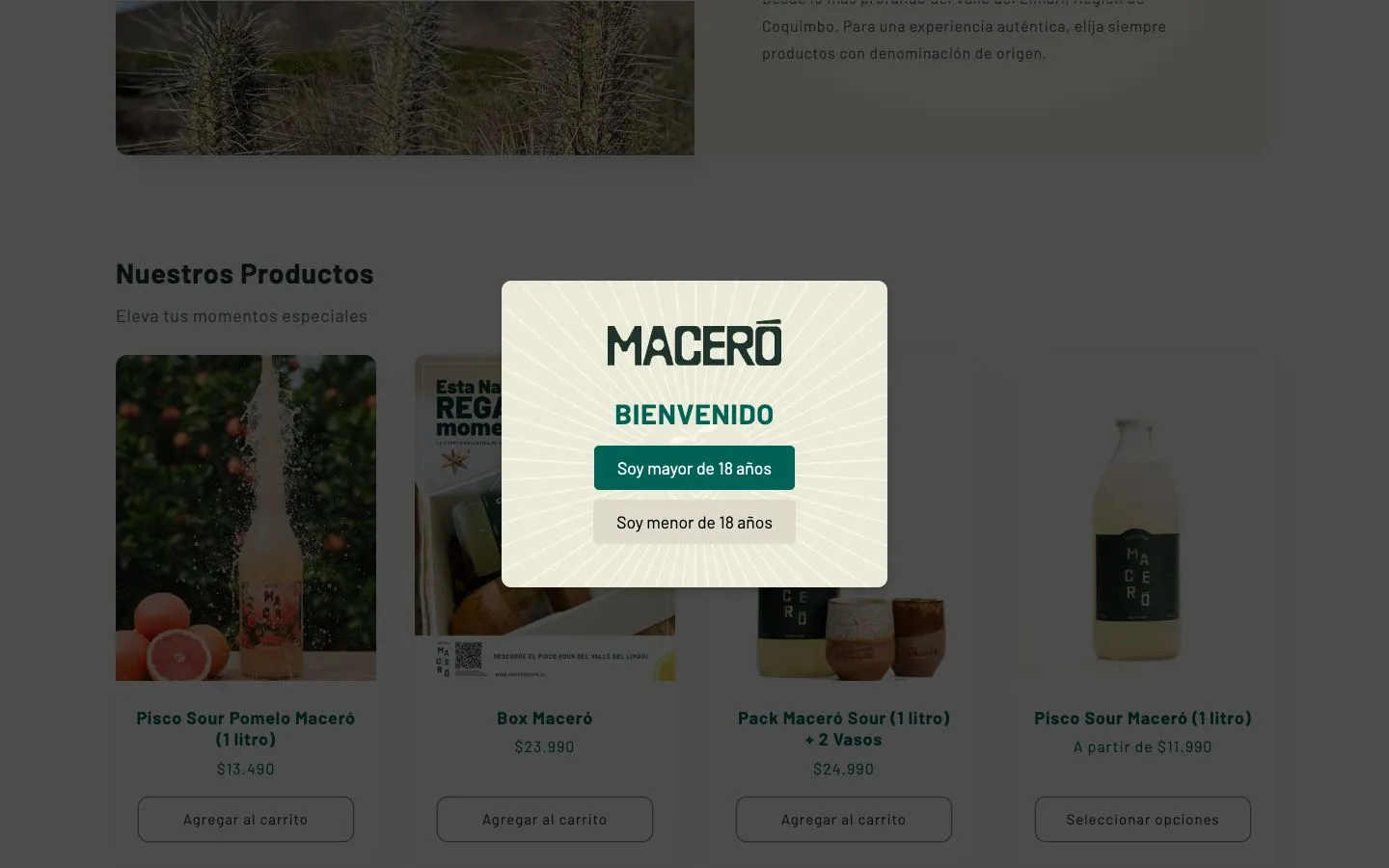 Maceró Sour image 5